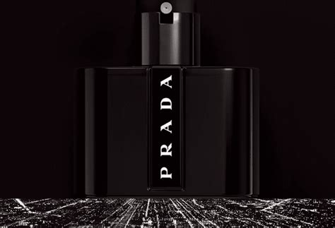 prada black cologne|prada black cologne review.